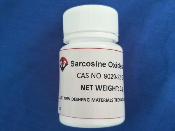 Quality CAS NO 9029-22-5 Enzyme Preparation Sarcosine Oxidase Comply With Structure for sale