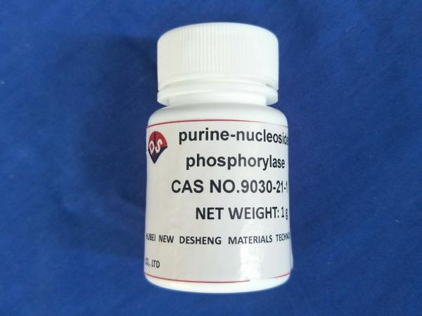 Quality CAS Number 9030-21-1 Enzyme Preparation Purine Nucleoside Phosphorylase for sale