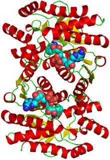 Quality HPLC Malate Dehydrogenase Assay / CAS NO 9001-64-3 Malic Enzyme 2 Powder for sale