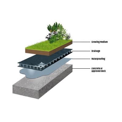 Quality HDPE Dimpled Green Roof Garden Foundation Membrane for 4 Quantity per square for sale