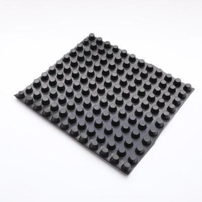 China 1.5mm Cup Height Modern Design Green House Roof Drainage Membrane Sheet Drain Board for sale