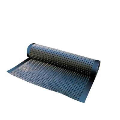 China Modern Cavity Drainage Membrane for Reducing Water Pressure and Improving Drainag for sale