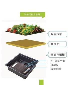 Quality Green Roof Tray System For Roof Greening Decorative Garden Flower Pot for sale