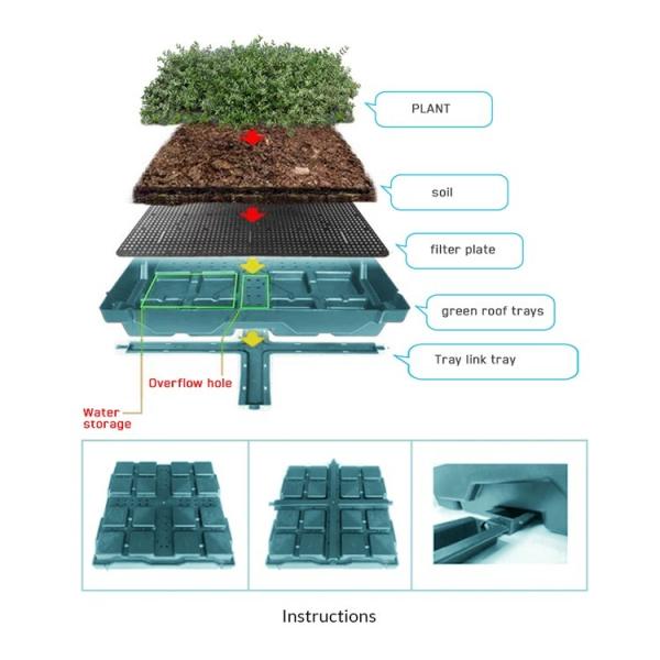 Quality Plastic Square Assemble Green Roof Tray Systems for Sustainable Planting for sale