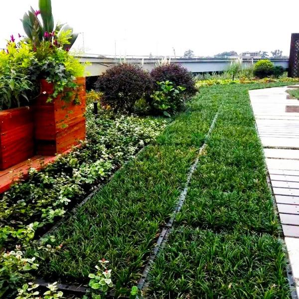 Quality Square Shape Green Roof Modules PP Plastic Material Garden Easy Installation for sale