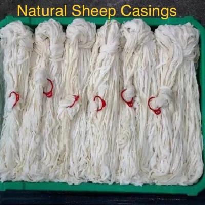 China NATURAL SHEEP CASING for sale