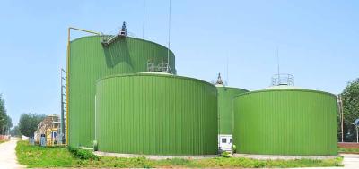 China 20m3 Double coating Biogas Plant Project EPC Contractor 3,450N/cm Adhesion for sale