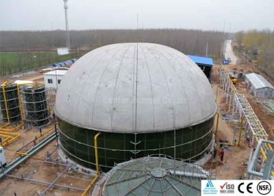 China Anaerobic Biogas Digester , Biogas Storage Tank With Three Phase Separator for sale