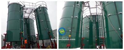 China Bio - sludge Anaerobic Digester Tank for Industrial Wastewater Treatment Plant for sale