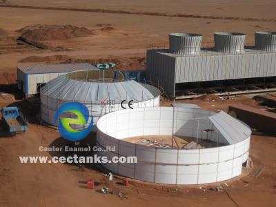China Desperdício anaeróbico do tanque de armazenamento do biogás da fermentação do biogás da MPE USR/CSTR à planta do projeto de energia à venda