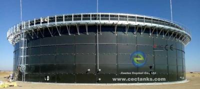 Chine La digestion anaérobie (AD) échoue pour l'usine de biogaz/cuve de stockage de biogaz à vendre