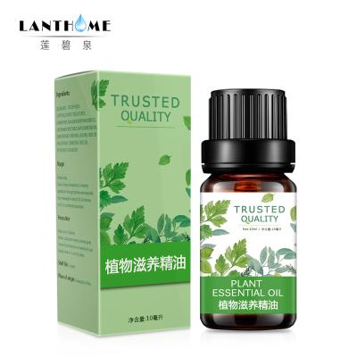 China Colorless Maca Plant Essential Oil Whitening Firming Body Massage for sale