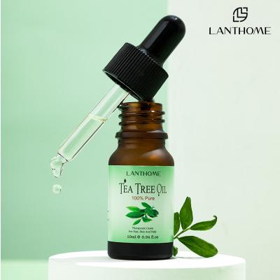 China Lanthome Massage Organic Tea Tree Oil For Hair Growth OEM ODM for sale