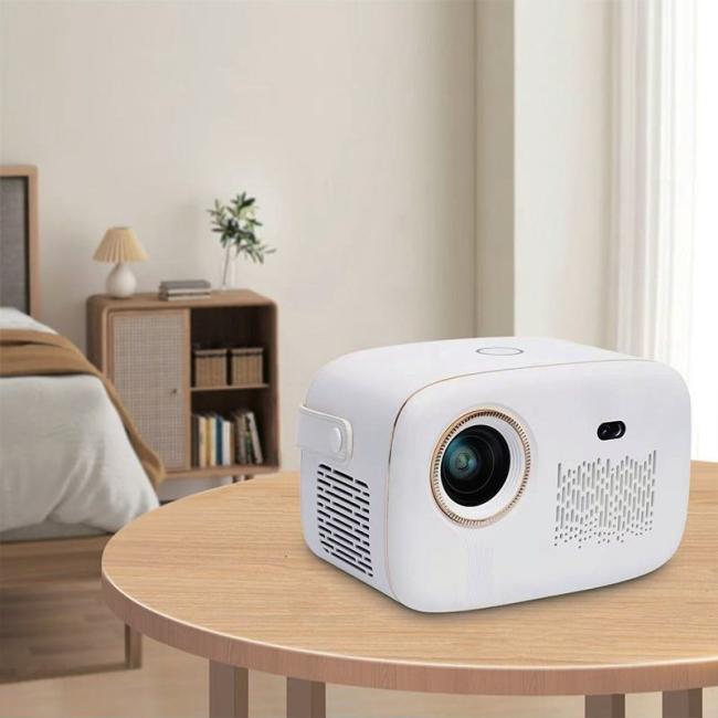 Cost-Effective Projector with Stable and Reliable Quality H2