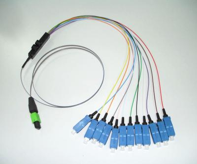 China US CONEC MTP to SC,8/12/24cores Hydra patch cord/Cable Assemblies for sale
