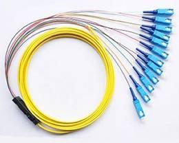 China 4, 6, 8, 12, 24, 48 Fibers Optional Ribbon multi-fiber Optic Pigtail for Telecommunication for sale