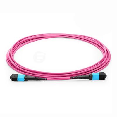 China 24 Way MPO MTP 40G 100G SFP OM4  Optic Fiber Patch Cord Violet 10M for sale