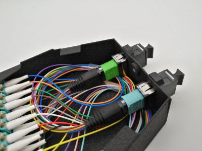 Китай Пульт временных соединительных кабелей APC UPC 12 оптического волокна кассеты FTTH модуля MTP/24 ядра продается