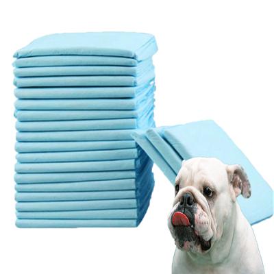 China Small Animals Pet Training Pad for Urine Absorption and Agility Training for sale