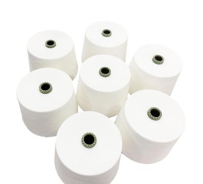 China RW 100% Lyocell Blended Ring Spun Siro Compact Yarn for Weaving / Knitting Raw for sale