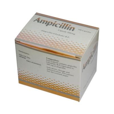 China Synthetic Derivative Ampicillin Capsules 250 mg 500 mg Oral Antibiotic Medications for sale