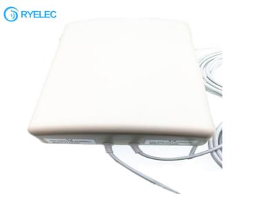 China MIMO 2* 4G LTE Antenna 10Dbi IP67 White Panel Antenna With 2*5m Rg58 CABLE To Sma Male for sale