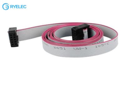 China AWM UL2651 2 Row 10 Pins Flat Ribbon Cable Assembly Female To Female IDC Connector for sale