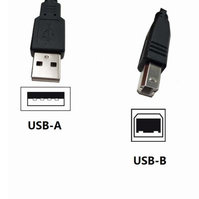 China PVC Customized Length USB Print Cable USB2.0 Printer Computer Data Transfer for sale