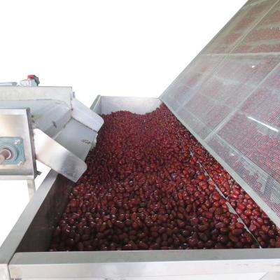China SGS ODM Fruit Belt Drying Equipment In Food Industry High Density Seamless Skeleton for sale