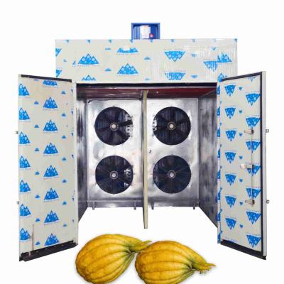 China 60 Trays Bergamot Pueraria Heat Pump Food Dehydrator Herb Drying Oven Multifunctional for sale
