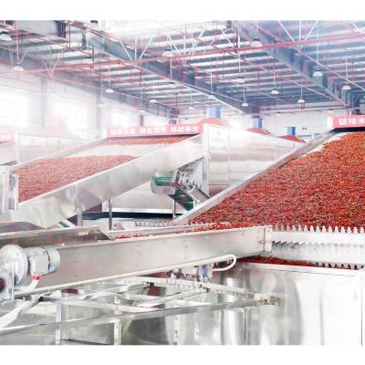 Κίνα Χάλυβα βιομηχανική πλέγματος απόδειξη 16×8×3.2m διαρροής ζωνών ξηρότερη με τη νάυλον καθαρίζοντας συσκευή τυμπάνων προς πώληση