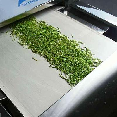 China El secador continuo de la microonda de la esterilización insecticida trabaja a máquina 85kw a prueba de herrumbre en venta