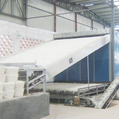 China Fungus Mushroom Grain Continuous Belt Dryer Multilayer Large Scale for sale