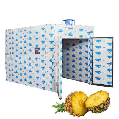 China Pineapple Fruit Heat Pump Food Dehydrator SS304 1Ton Adjustable Temperature for sale