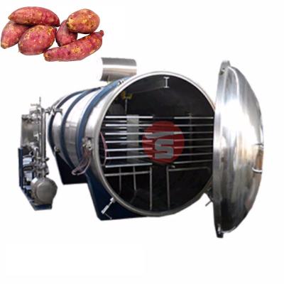 China SGS 200Kg Freeze Drying Plant Lyophilizer Freeze Strawberry Drying Machine for sale