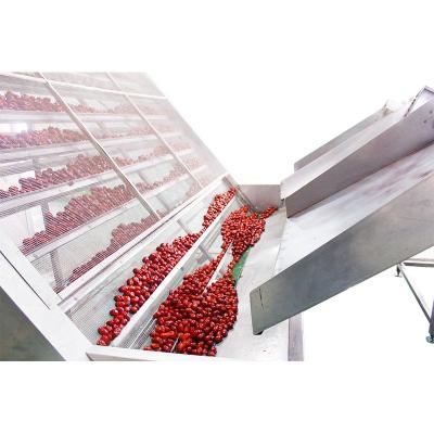 China 6 To 20t/ H Mesh Belt Drying Equipment Anti Oxidation for sale