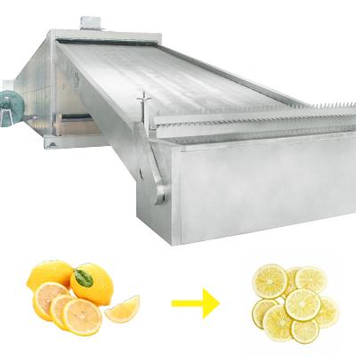 中国 Fruit Category Mesh Belt Drying Equipment Maintain High Quality Drying 販売のため