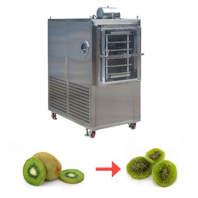 China Máquina de liofilização a vácuo de figo para frutas 50 kg liofilizadora a vácuo à venda