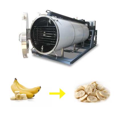 China 100KG Banana Pitaya Slice Freeze Drying Equipment Commercial Fruit Lyophilizer SGS for sale
