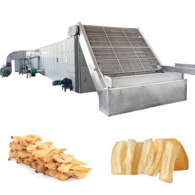 China Multifunctional Mesh Belt Dryer Machine Stainless Steel Delicate Treatment Fruit en venta