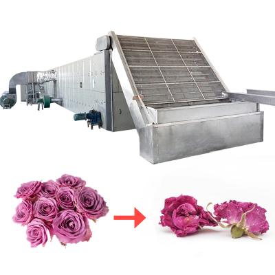 China Multifunctional Mesh Belt Dryer Machine Vegetables And Fruits Tea And Herbs for sale