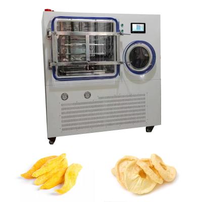 Китай 1M2 Multifunction Mango Banana Fruit Freeze Dryer Machine For Lab Household продается