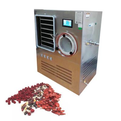 Chine 1M2 Lyophilized Cranberry Strawberry Vacuum Drying Equipment For Dried Fruit Berry à vendre