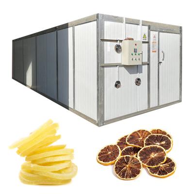 China Food Grade Stainless Steel Lemon Slices Heat Pump Fruit Dryer 60 Trays for sale