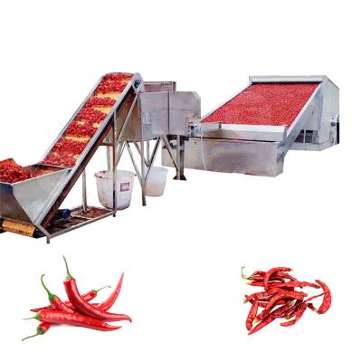 中国 PLC Control Industrial Stainless Steel Mesh Belt Dryer For Irregular Lumps Red Dates 販売のため