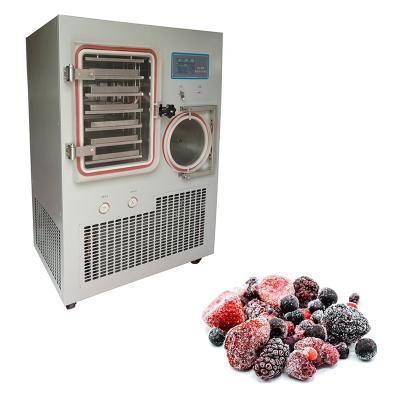 Chine 220V/50Hz Stainless Steel Freeze Drying Machine Fruit Vegetable Herb Freeze Dryer à vendre