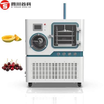 China 220V/50Hz Peach Fruit Freeze Drying Machine Melon Papaya Guava Cherry Freeze Dryer à venda