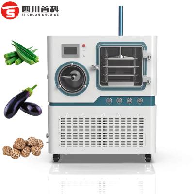 China Stainless Steel Vegetable Freeze Drying Machine Squash Carrots Kale Mushrooms Pumpkin à venda