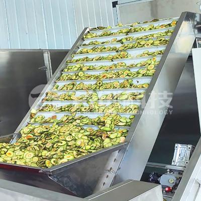 China Shouchuang Belt type Fruit Dryer Avocado Automatic Drying Equipment Te koop