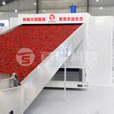 China Shouchuang Heat Pump Chili Red Pepper Belt Drying Equipment for sale